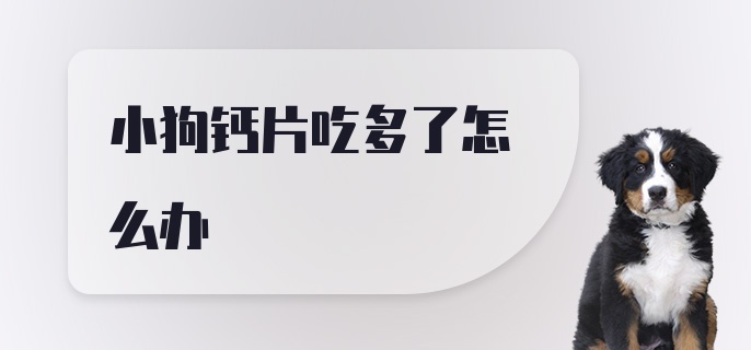 小狗钙片吃多了怎么办