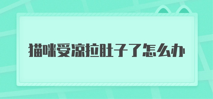 猫咪受凉拉肚子了怎么办