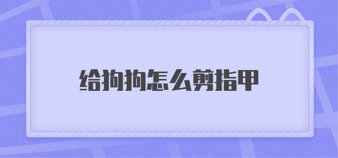 给狗狗怎么剪指甲