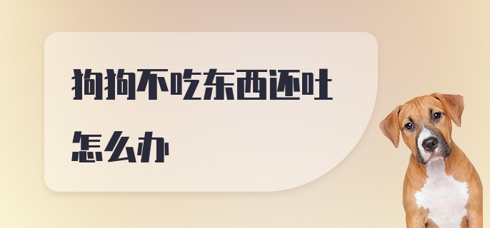 狗狗不吃东西还吐怎么办