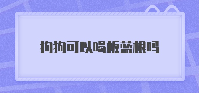 狗狗可以喝板蓝根吗