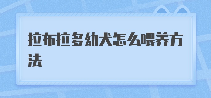 拉布拉多幼犬怎么喂养方法