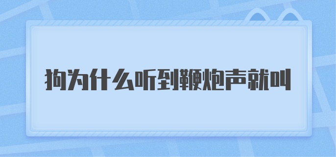 狗为什么听到鞭炮声就叫