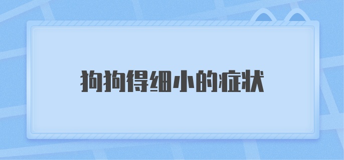 狗狗得细小的症状