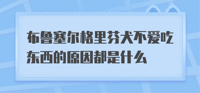 布鲁塞尔格里芬犬不爱吃东西的原因都是什么