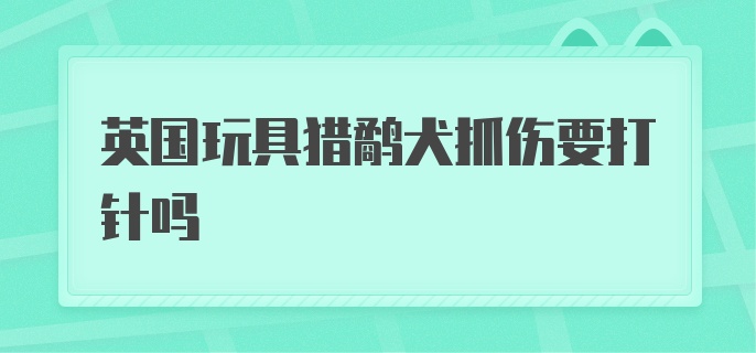 英国玩具猎鹬犬抓伤要打针吗