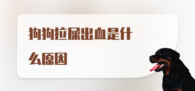 狗狗拉屎出血是什么原因