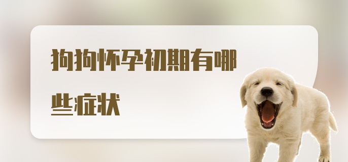 狗狗怀孕初期有哪些症状