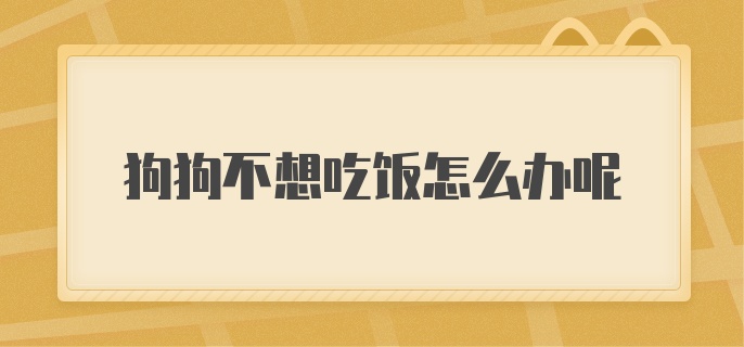 狗狗不想吃饭怎么办呢