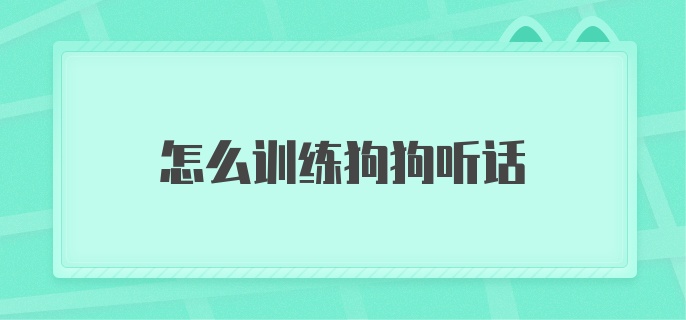 怎么训练狗狗听话