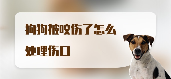 狗狗被咬伤了怎么处理伤口