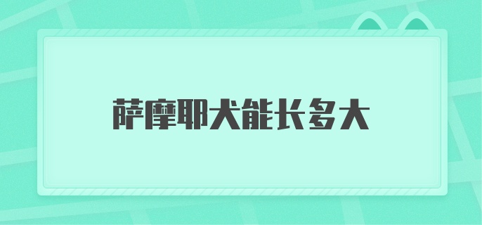 萨摩耶犬能长多大