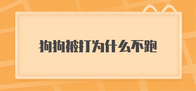 狗狗被打为什么不跑