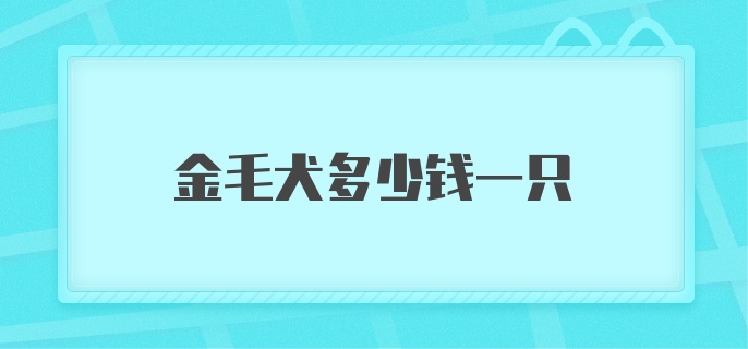 金毛犬多少钱一只