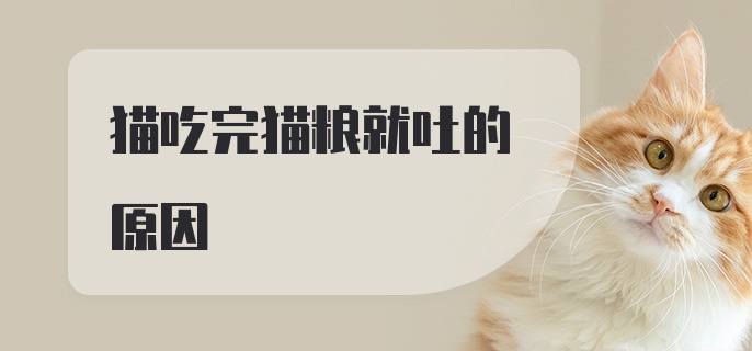 猫吃完猫粮就吐的原因