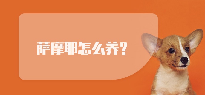 萨摩耶怎么养？