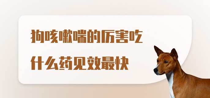 狗咳嗽喘的厉害吃什么药见效最快