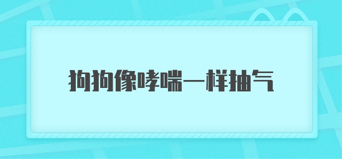 狗狗像哮喘一样抽气