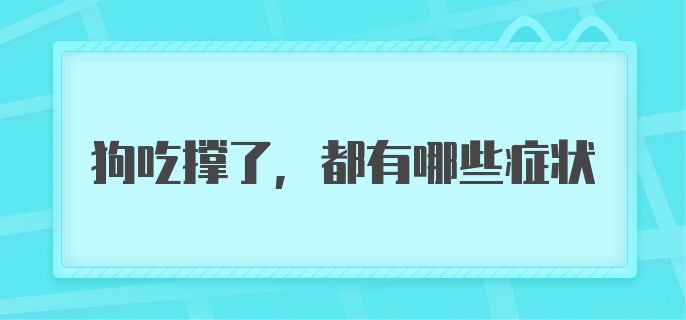 狗吃撑了,都有哪些症状