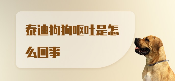 泰迪狗狗呕吐是怎么回事