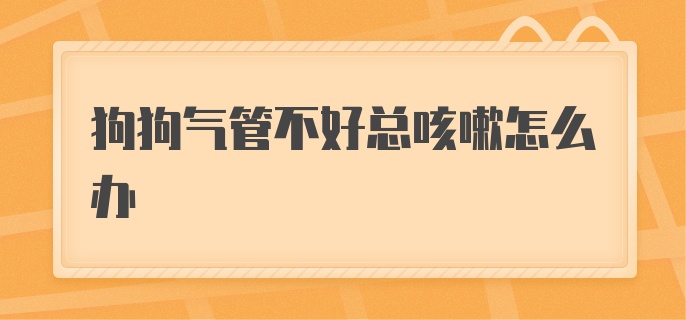 狗狗气管不好总咳嗽怎么办