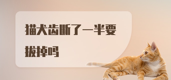 猫犬齿断了一半要拔掉吗