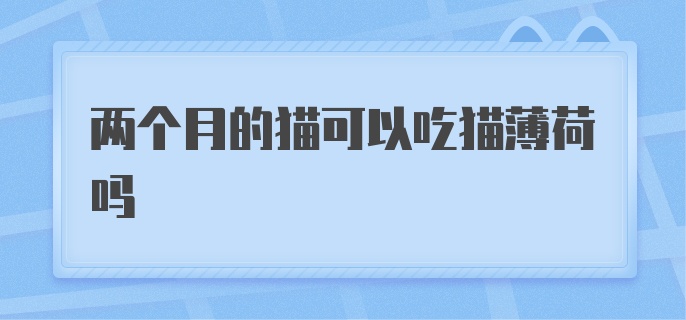 两个月的猫可以吃猫薄荷吗