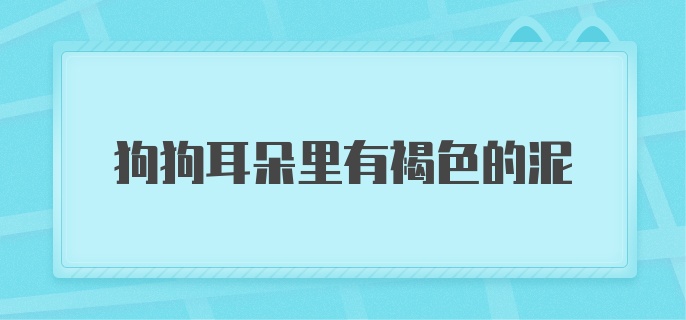 狗狗耳朵里有褐色的泥