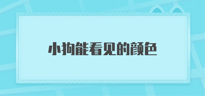 小狗能看见的颜色