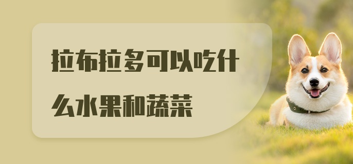 拉布拉多可以吃什么水果和蔬菜