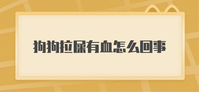 狗狗拉屎有血怎么回事