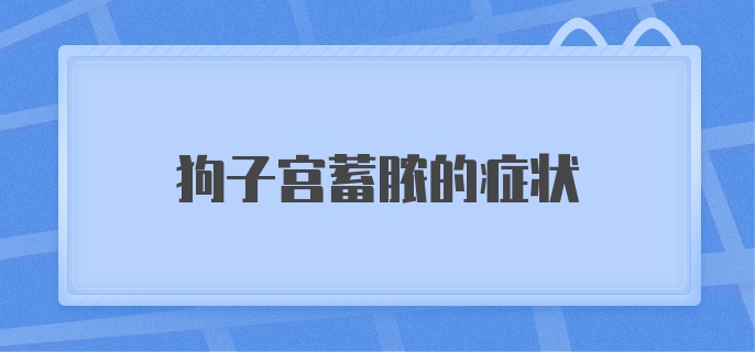 狗子宫蓄脓的症状