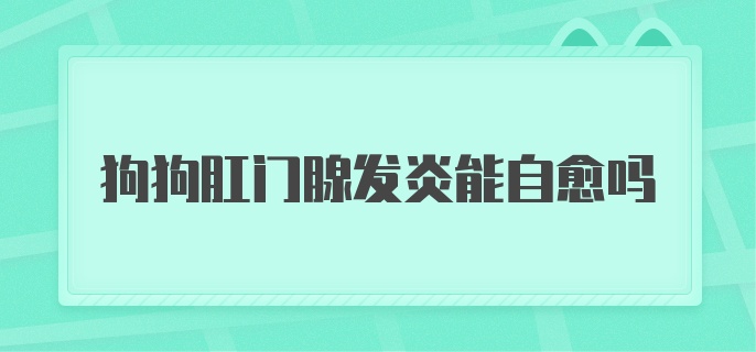 狗狗肛门腺发炎能自愈吗