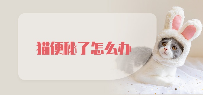 猫便秘了怎么办