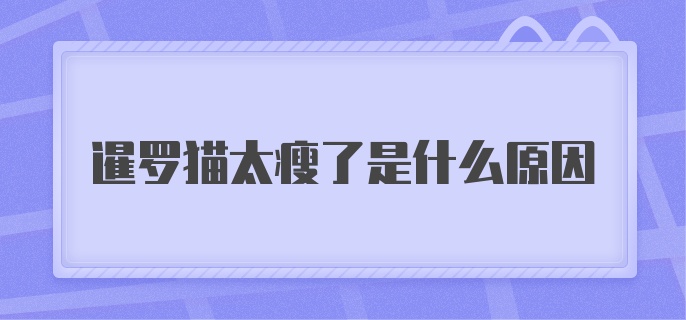 暹罗猫太瘦了是什么原因