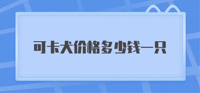 可卡犬价格多少钱一只