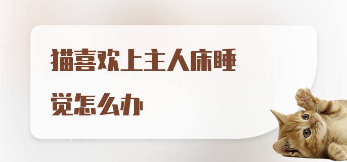 猫喜欢上主人床睡觉怎么办