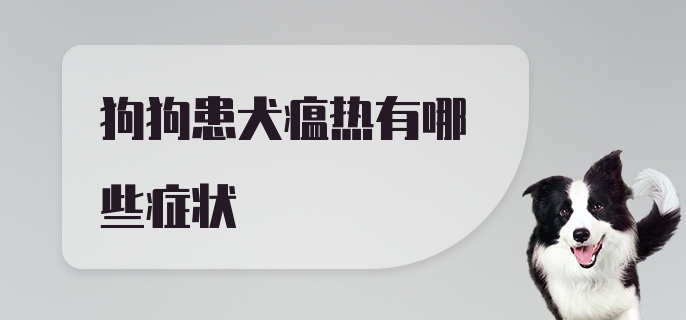 狗狗患犬瘟热有哪些症状