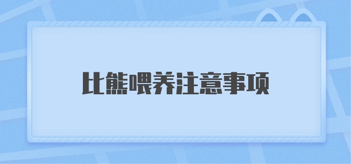 比熊喂养注意事项