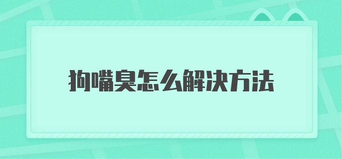 狗嘴臭怎么解决方法