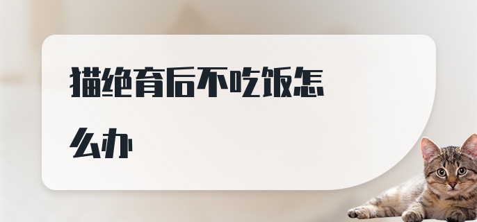 猫绝育后不吃饭怎么办