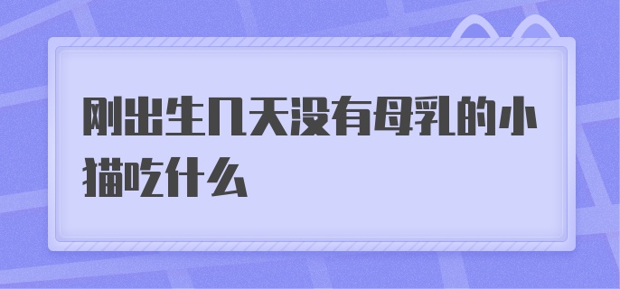 刚出生几天没有母乳的小猫吃什么