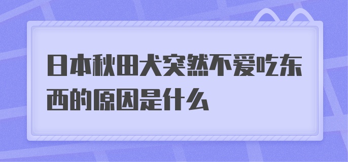 日本秋田犬突然不爱吃东西的原因是什么