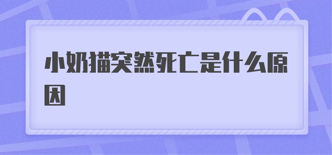 小奶猫突然死亡是什么原因