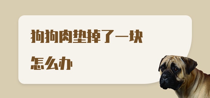 狗狗肉垫掉了一块怎么办