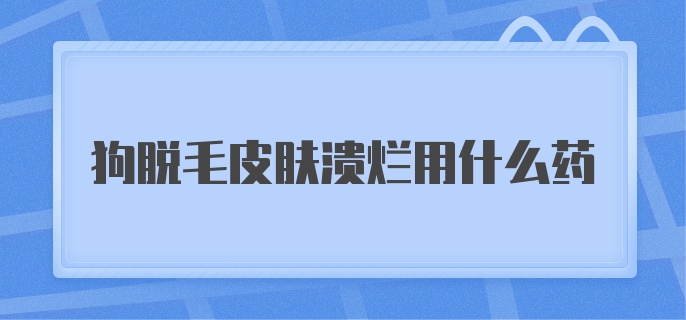 狗脱毛皮肤溃烂用什么药