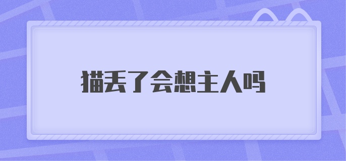 猫丢了会想主人吗