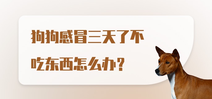 狗狗感冒三天了不吃东西怎么办？