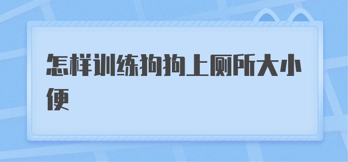 怎样训练狗狗上厕所大小便