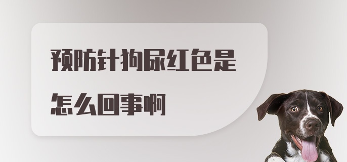 预防针狗尿红色是怎么回事啊